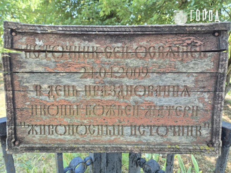 В Краснодаре началось цветение озера лотосов